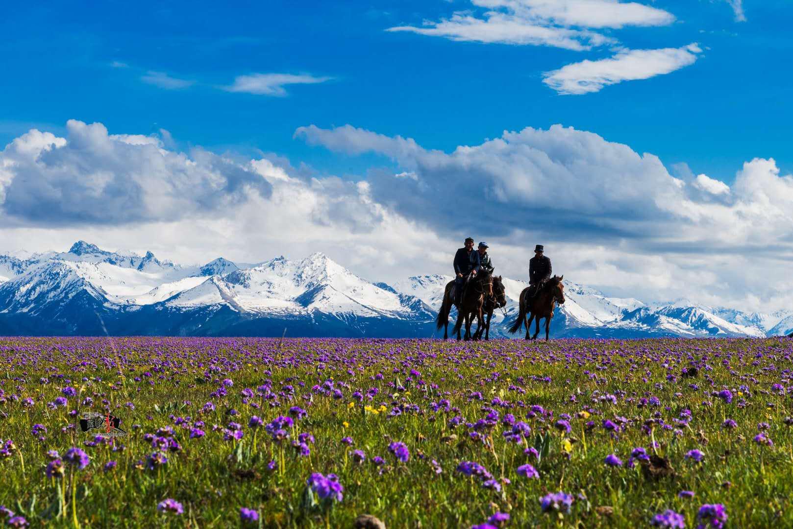 寻不到楼兰，便去西边看一场落日