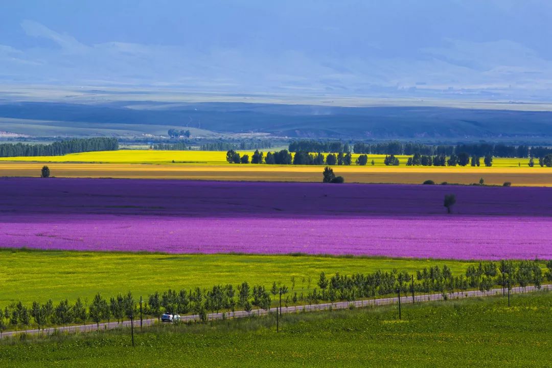 六月的北疆哪些地方值得去,六月的北疆解说