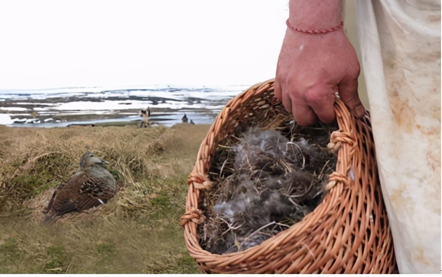 平价羽绒服如何选择好品牌,1000-2000哪个品牌羽绒服款式好