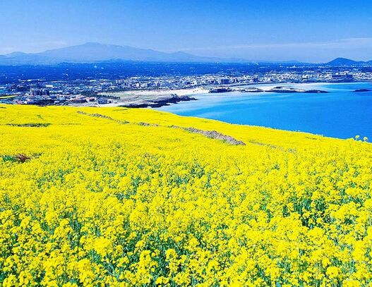 49张照片告诉你韩国与众不同,50张照片让你了解韩国