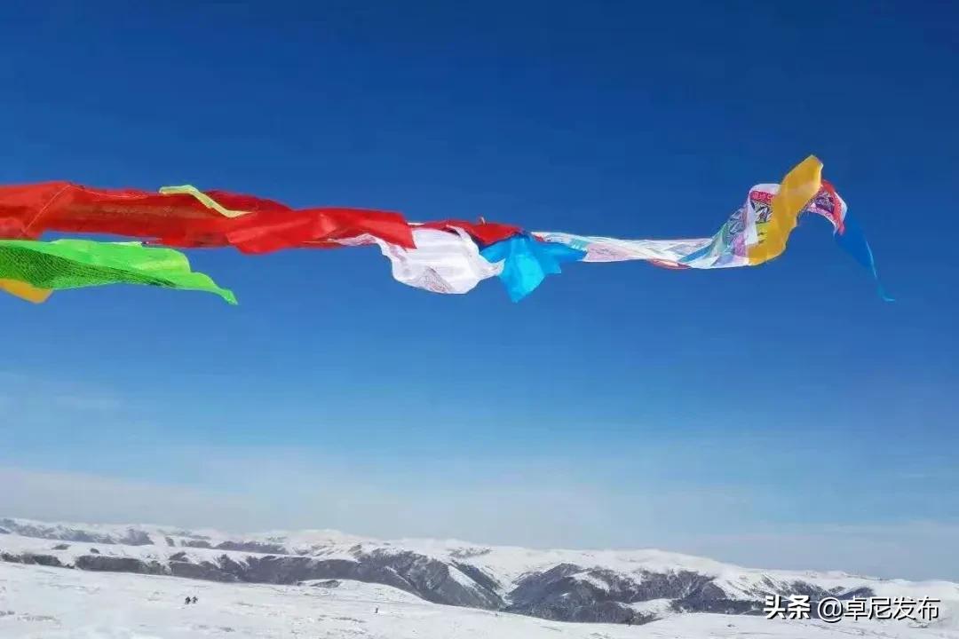 甯呮皵闃垮崜,鏃╂湡闃垮崜