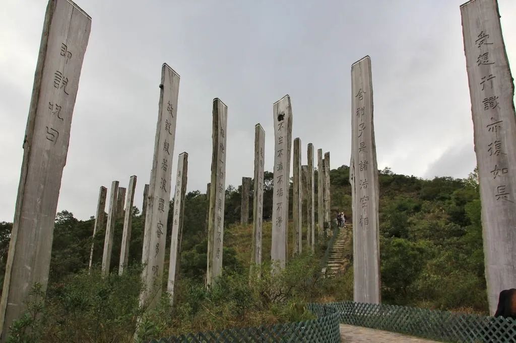 屹立凤凰顶，全览明珠貌