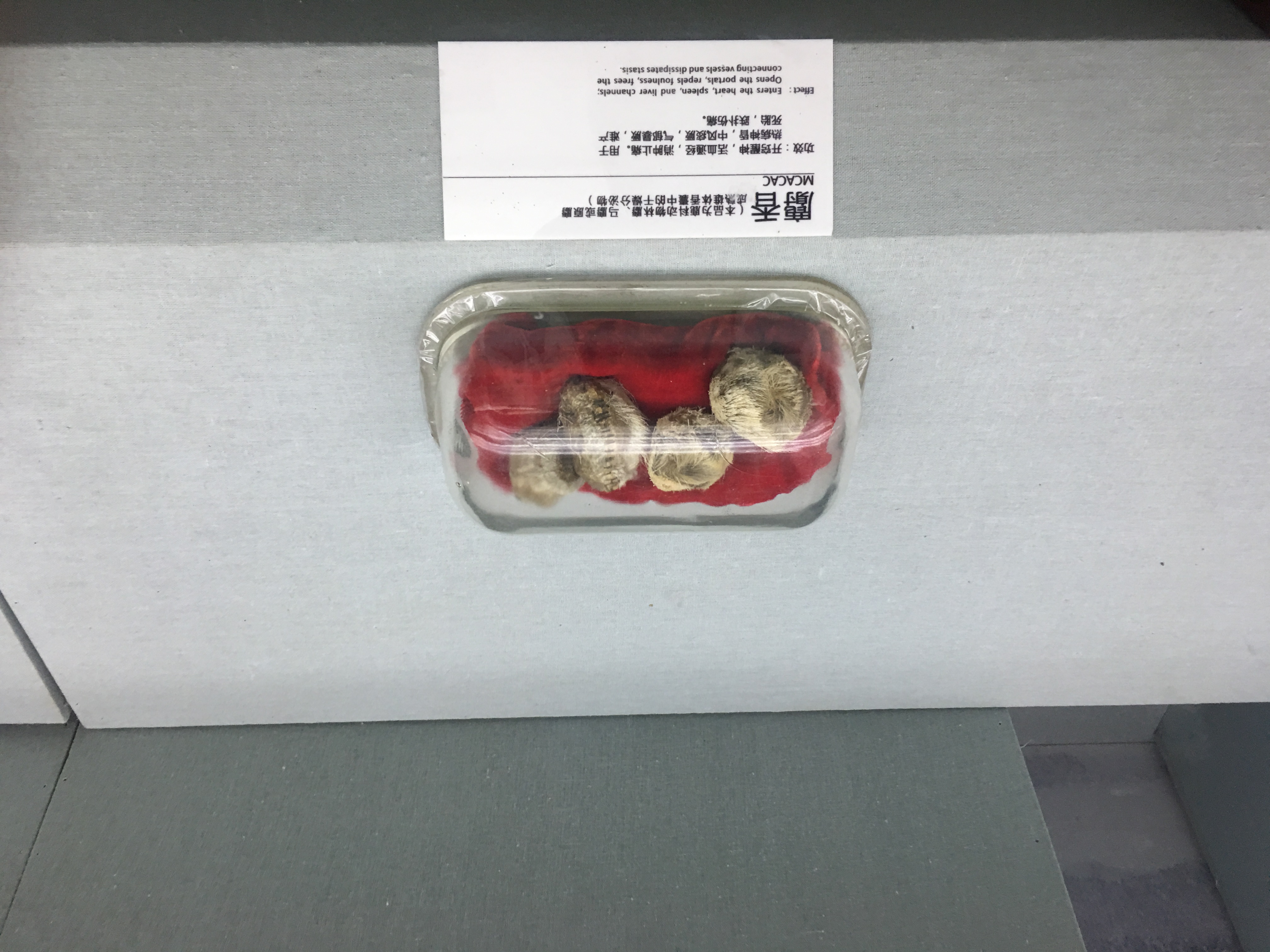 孙思邈的尸体之谜,药王孙思邈一些奇怪理论