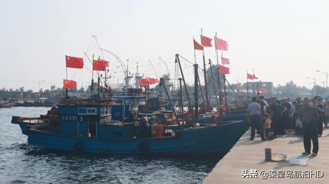 秦皇岛一月份去哪里买海鲜便宜,秦皇岛哪里可以在海边买海鲜