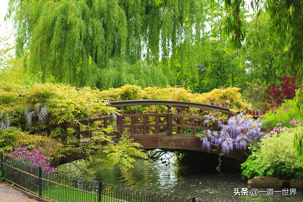 无依无靠才会使人内心强大吧,人在逆境所能依靠只有自己