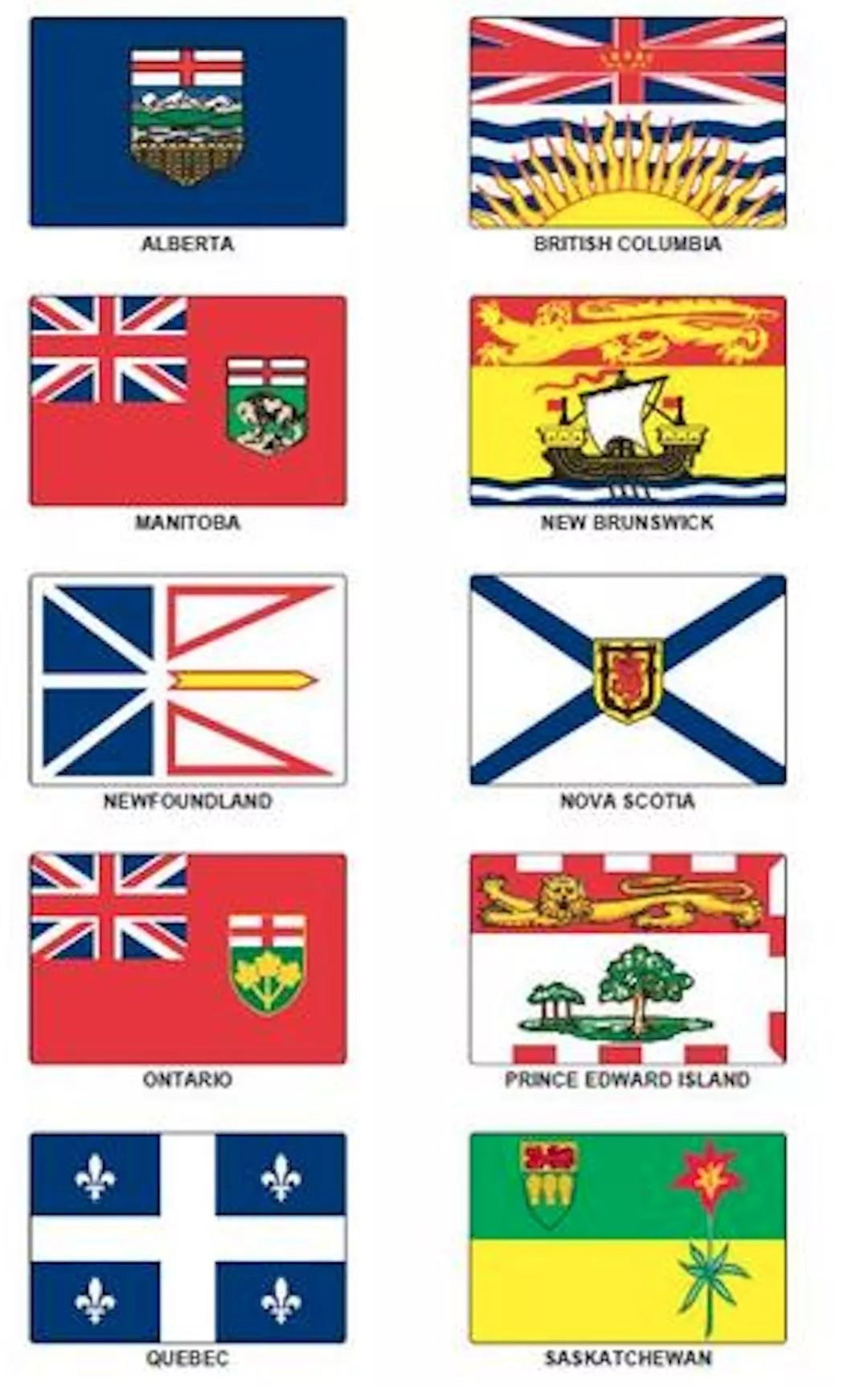 CompetitionofHouses!太精彩,合肥一中加拿大高中学院争霸赛