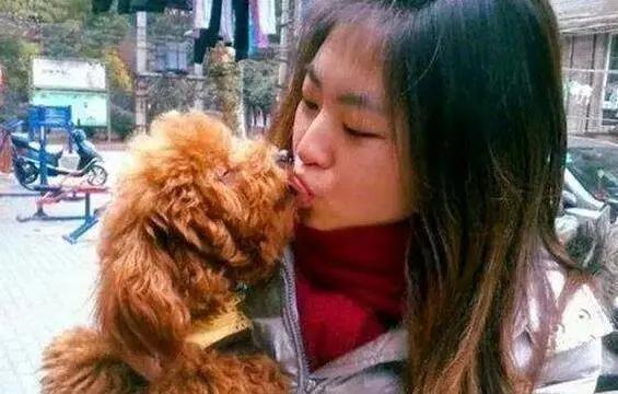 狗狗爱舔这五个部位,狗狗一直舔来舔去怎么办