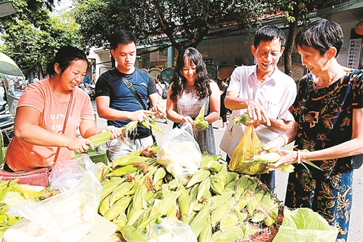 广西旅游攻略忻城,忻城土司文化旅游
