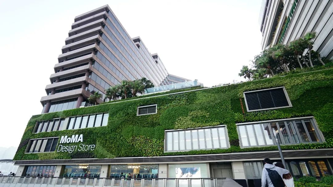 香港最大商场购物实拍视频,香港顶级商场视频