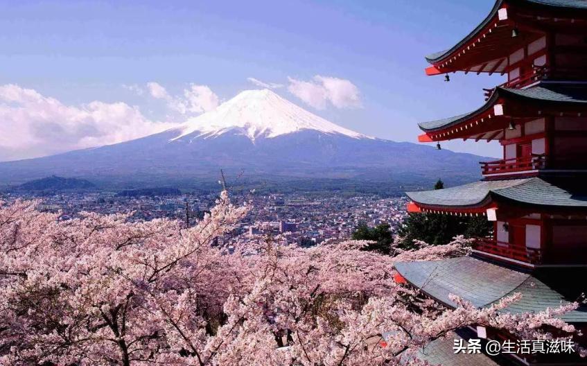 日本传统点心也太好看了吧！除了吃还能当装饰，网友：这操作真牛