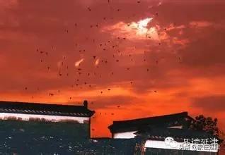 延津民间故事,延津民间故事视频