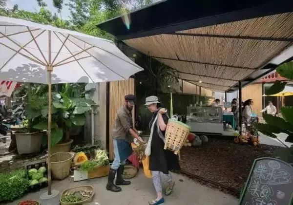 农村改造100个经典案例,乡村田园改造经典案例