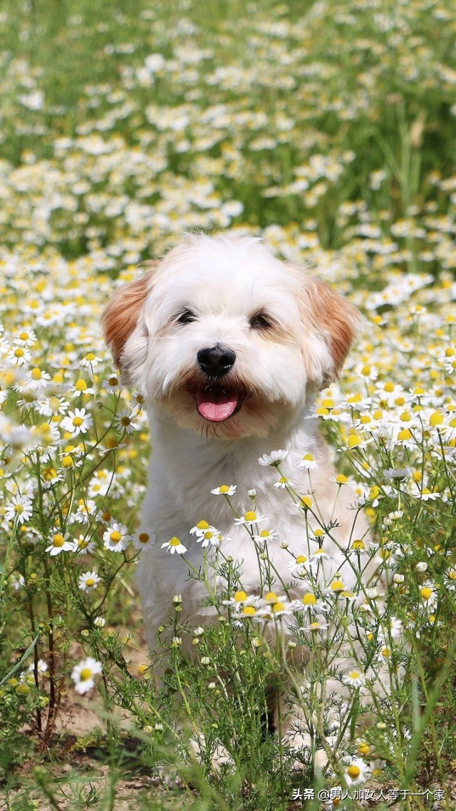 走廊有人吐痰怎么办,老有人在楼道吐痰怎么治