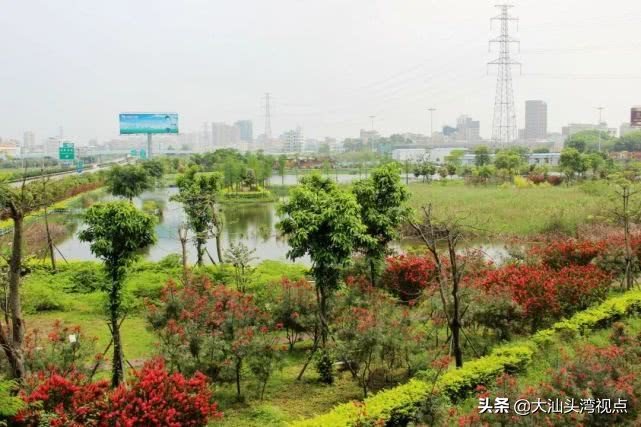 汕头有哪些公园免费景点,汕头公园好玩排名榜