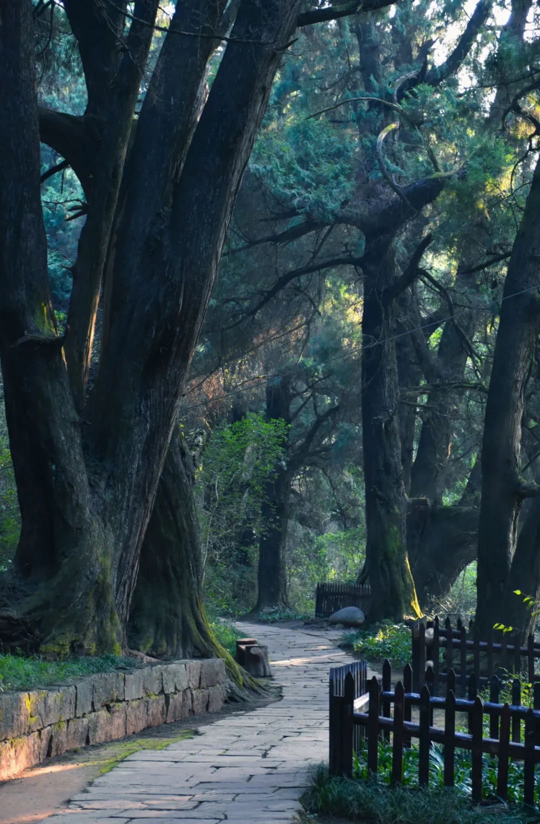 秦始皇张飞,秦始皇冬游