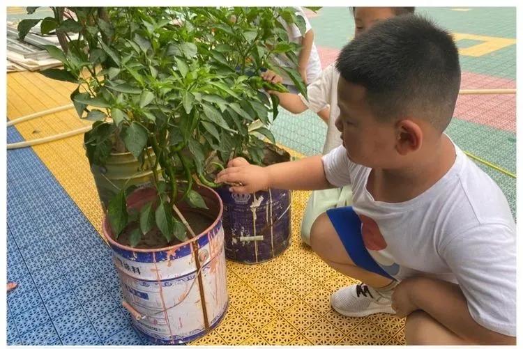 邯郸复兴区第一幼儿园环境,邯郸复兴区第一幼儿园是公立的吗