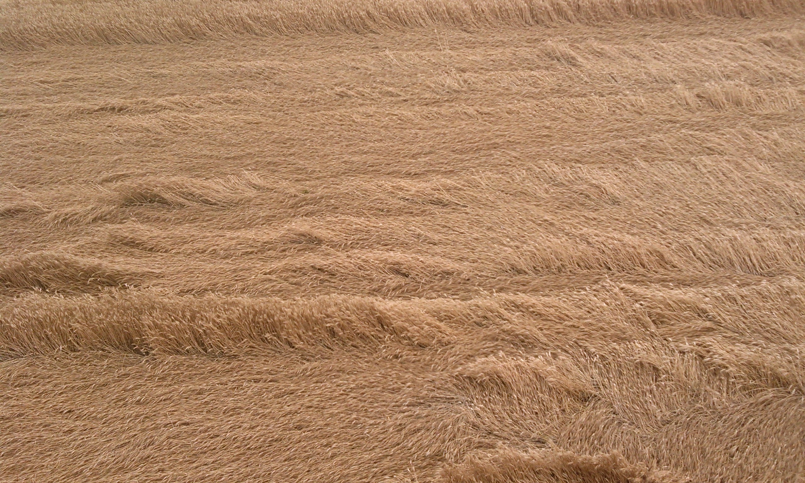 地瓜是土豆的别称吗,地瓜是土豆