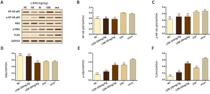 钟南山团队抗疫神药,钟南山抗疫药品