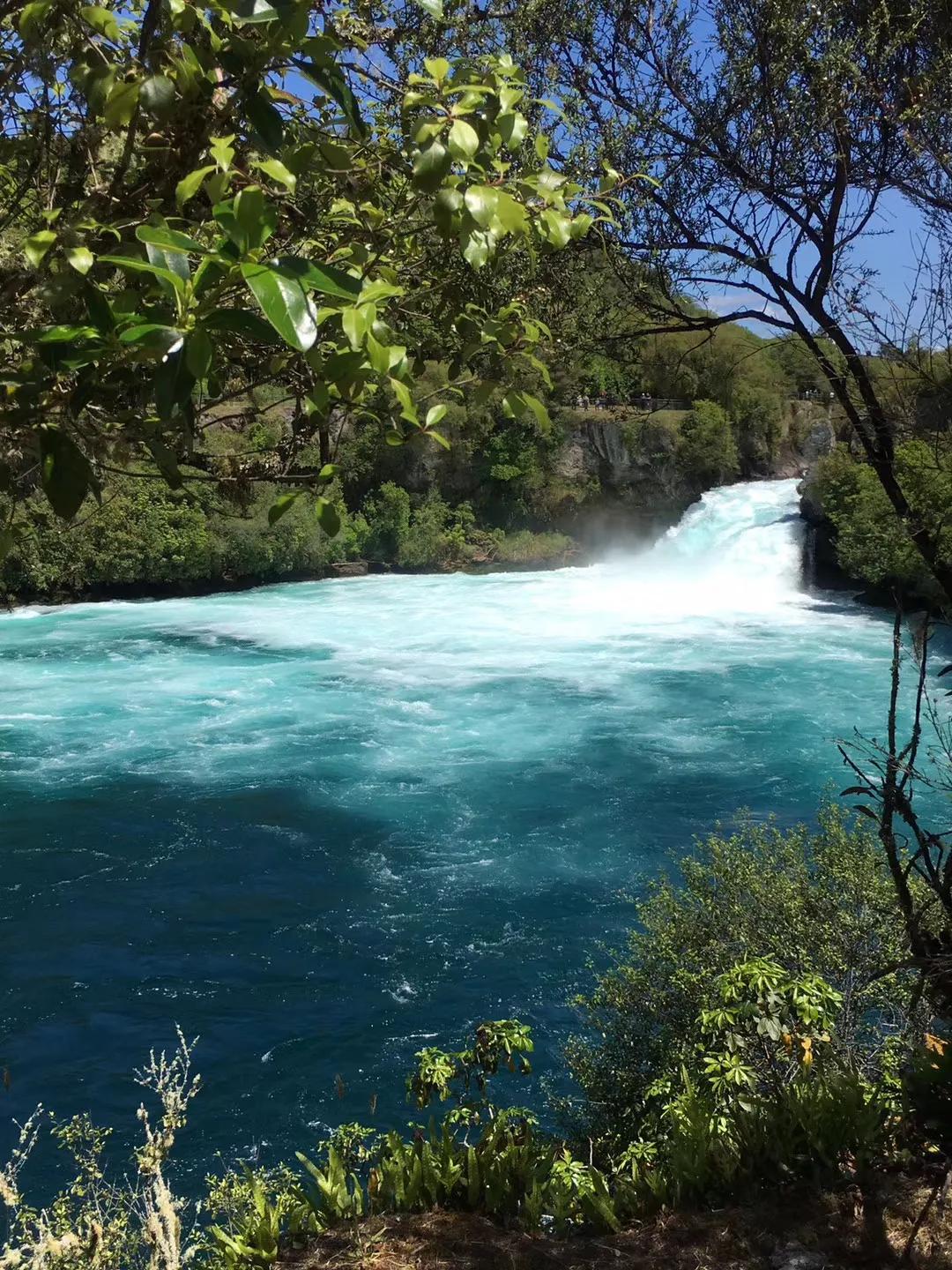 记忆中的旅行之新西兰(北岛)