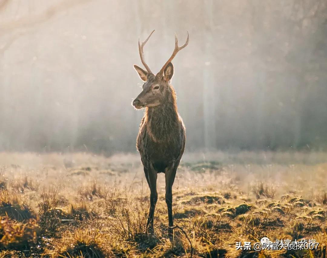华富基金投资心得,华富基金业绩排倒数