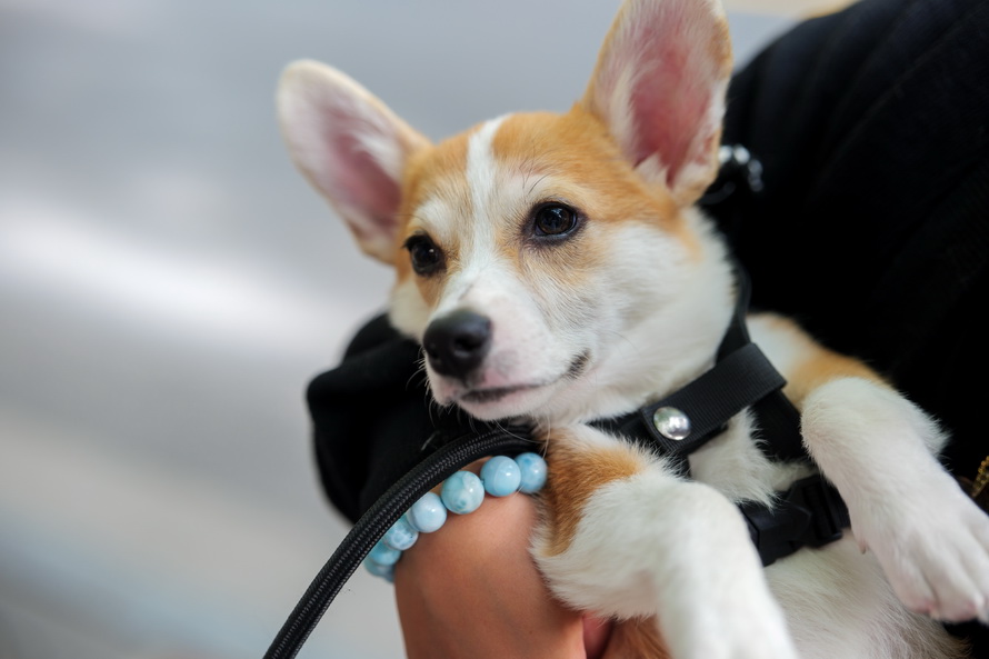 松下s5机身开箱,松下s5二代机身重量