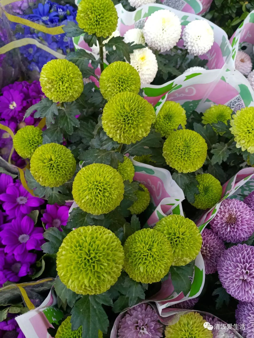 年味十足的花店,花店年味十足