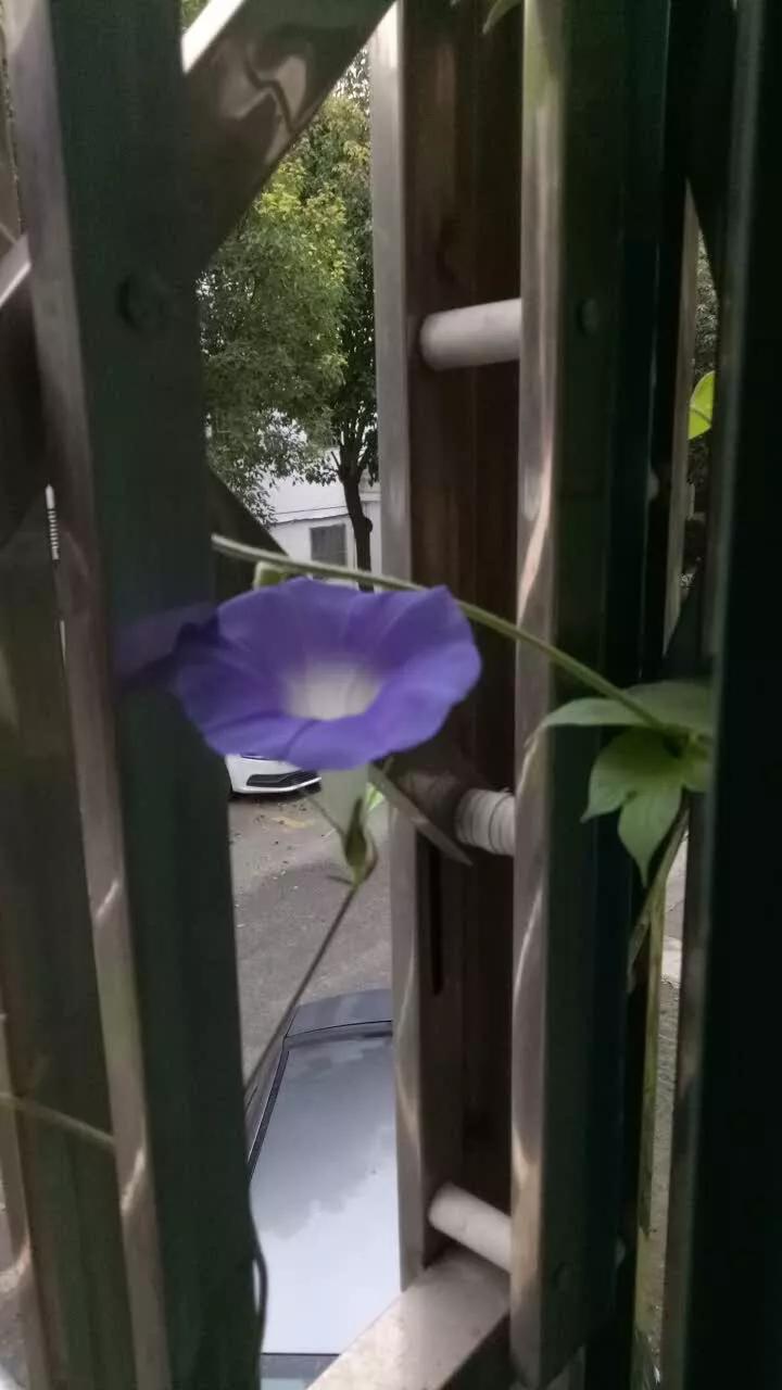 苏州购房心得,我在苏州购房历程记录