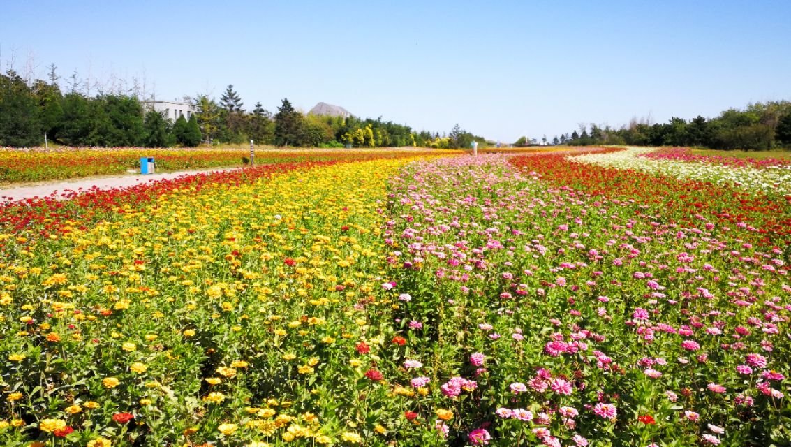 秋高气爽共赴云顶山,秋高气爽游园乐