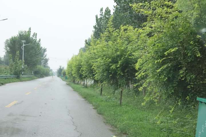 「鞍山：走向我们的小康生活」台安大于村丨从贫困村到头排村的转换“密码”