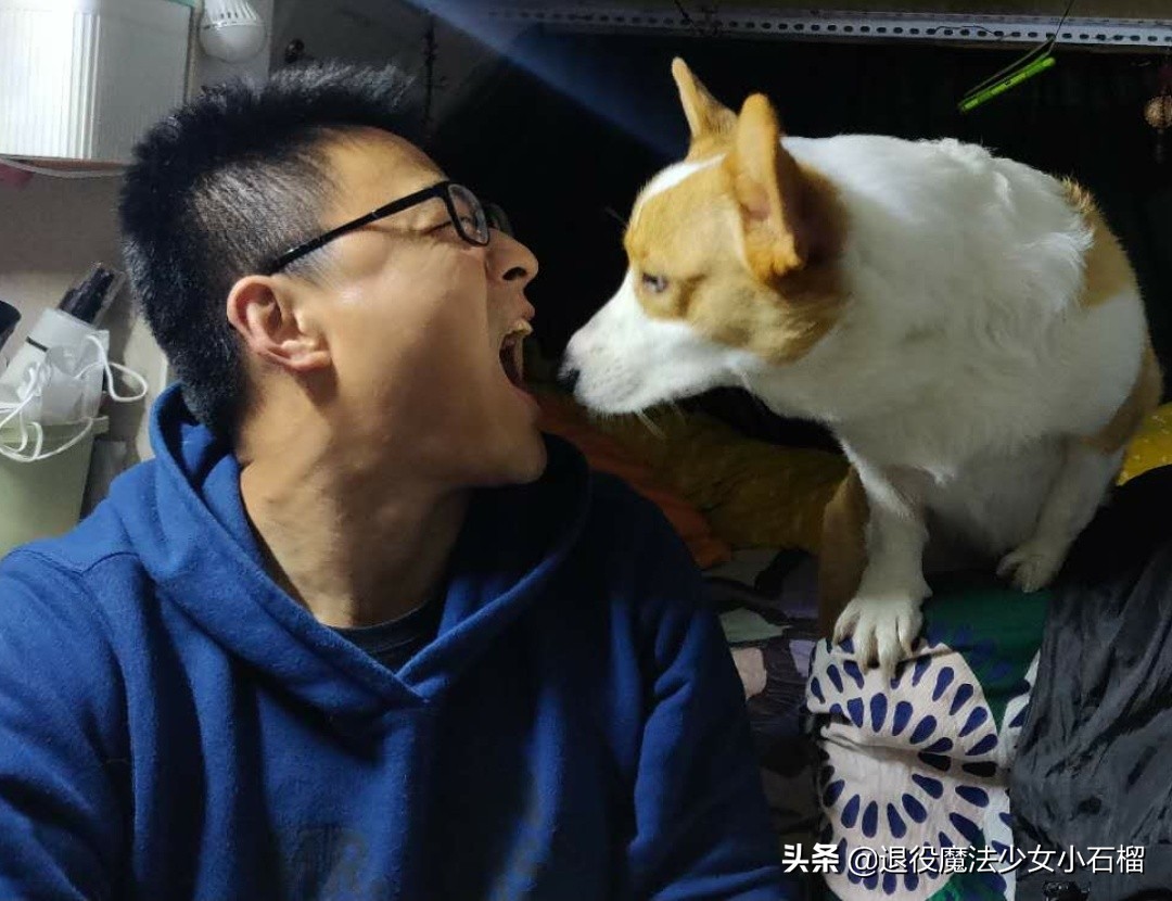 可移动的家Day12曲阜孔庙