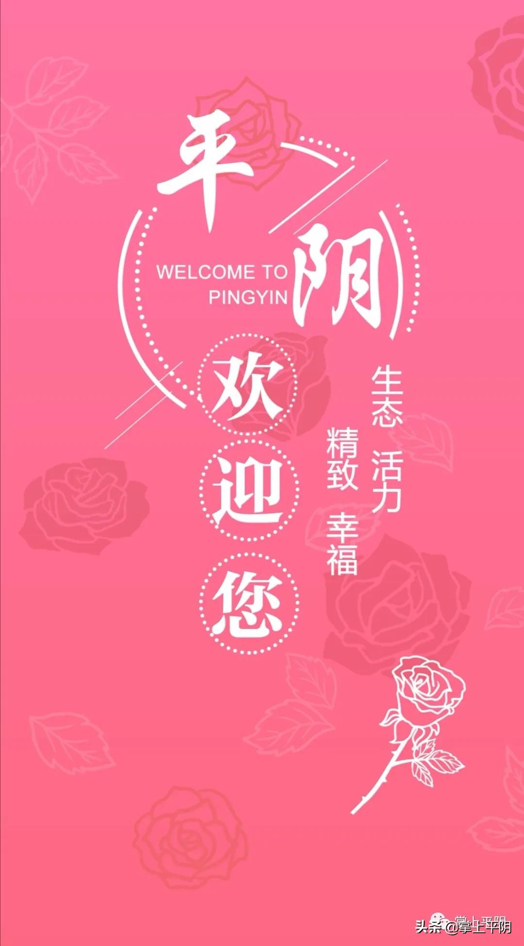 让政商线上直通,提供高效公共服务!“在平阴您放心”便民利企平台上线……