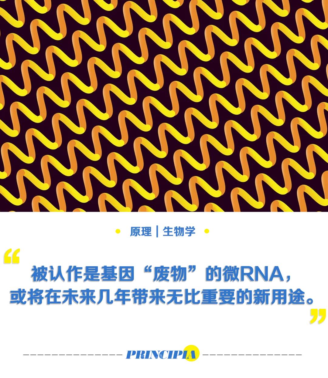 rna治疗癌症,微rna