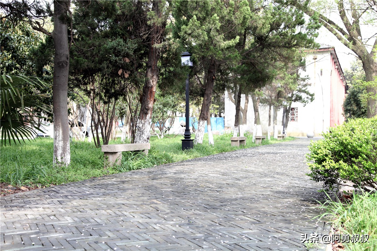 全国百强高中苏州有几个,苏州实验中学科技城校区