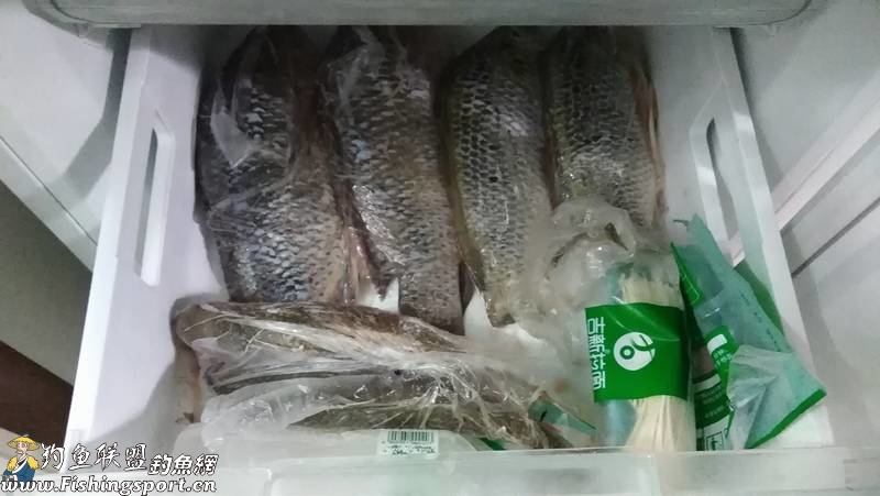 潮州登塘镇附近免费钓鱼,游钓潮州