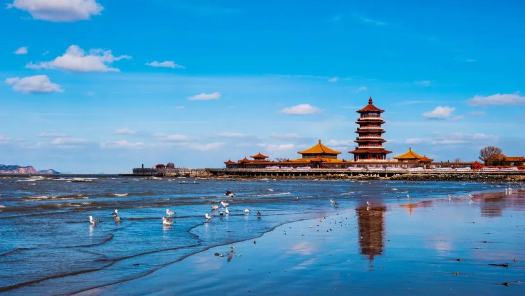 悦读者合集,悦读者交友