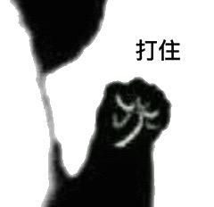 这里的毛毛千万别乱拔！小心会有生命危险