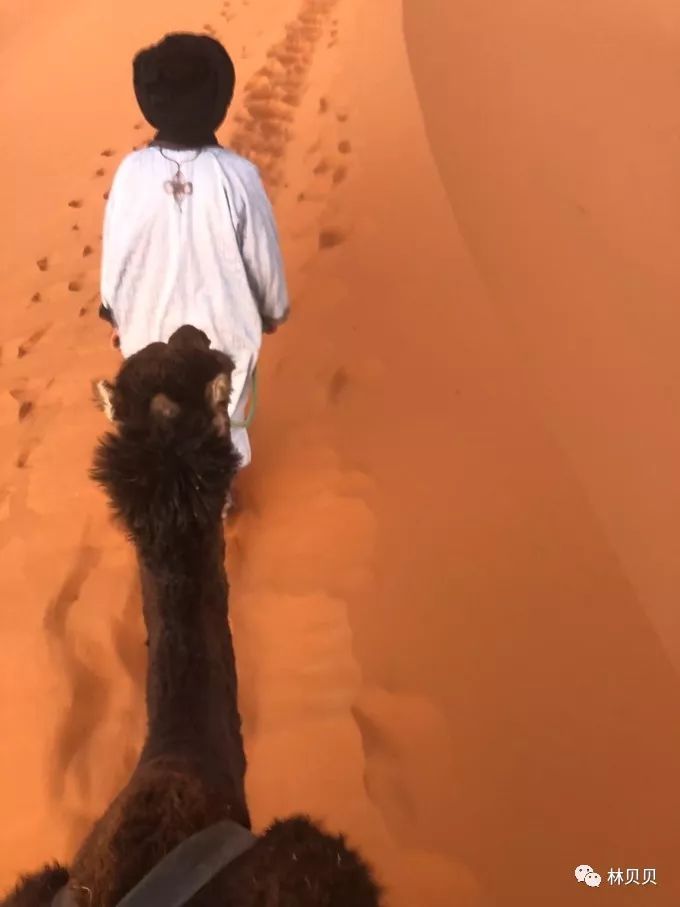 15天快速减肥10斤懒人,摩洛哥12天瘦5斤减肥成功案例