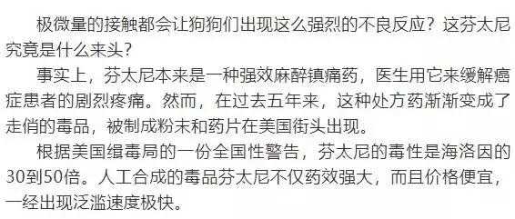 缉毒犬会染上毒瘾吗视频讲解,缉毒犬闻毒品味道会闻上瘾么