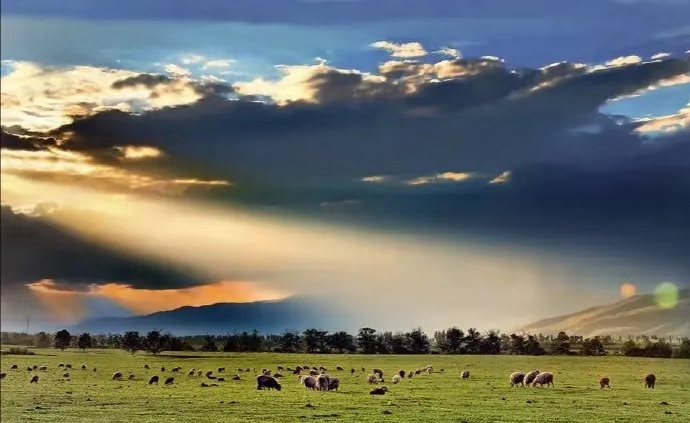 足球释放压力,足球分析