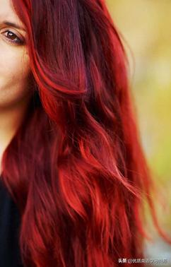 英语原版阅读：一般现在时与现在进行时的练习Adayinthepark