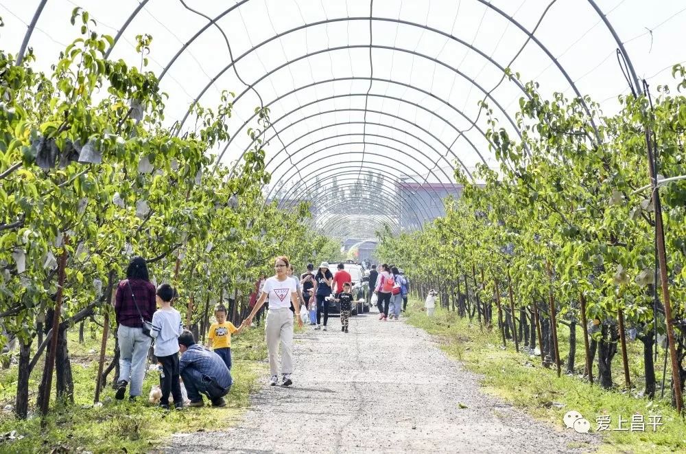 抓住五一尾巴农家乐推荐,抓住假期的小尾巴隐居民宿