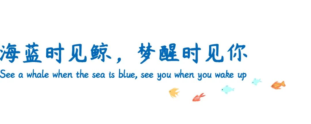 神秘海洋系婚礼,神秘海洋婚礼