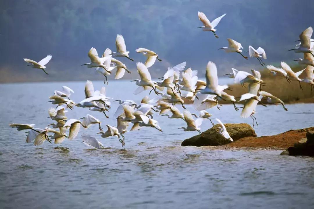 宜居宜业旅游攻略,广州从化的宜居小镇