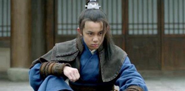 琅琊榜飞流走了,琅琊榜飞流几几年的