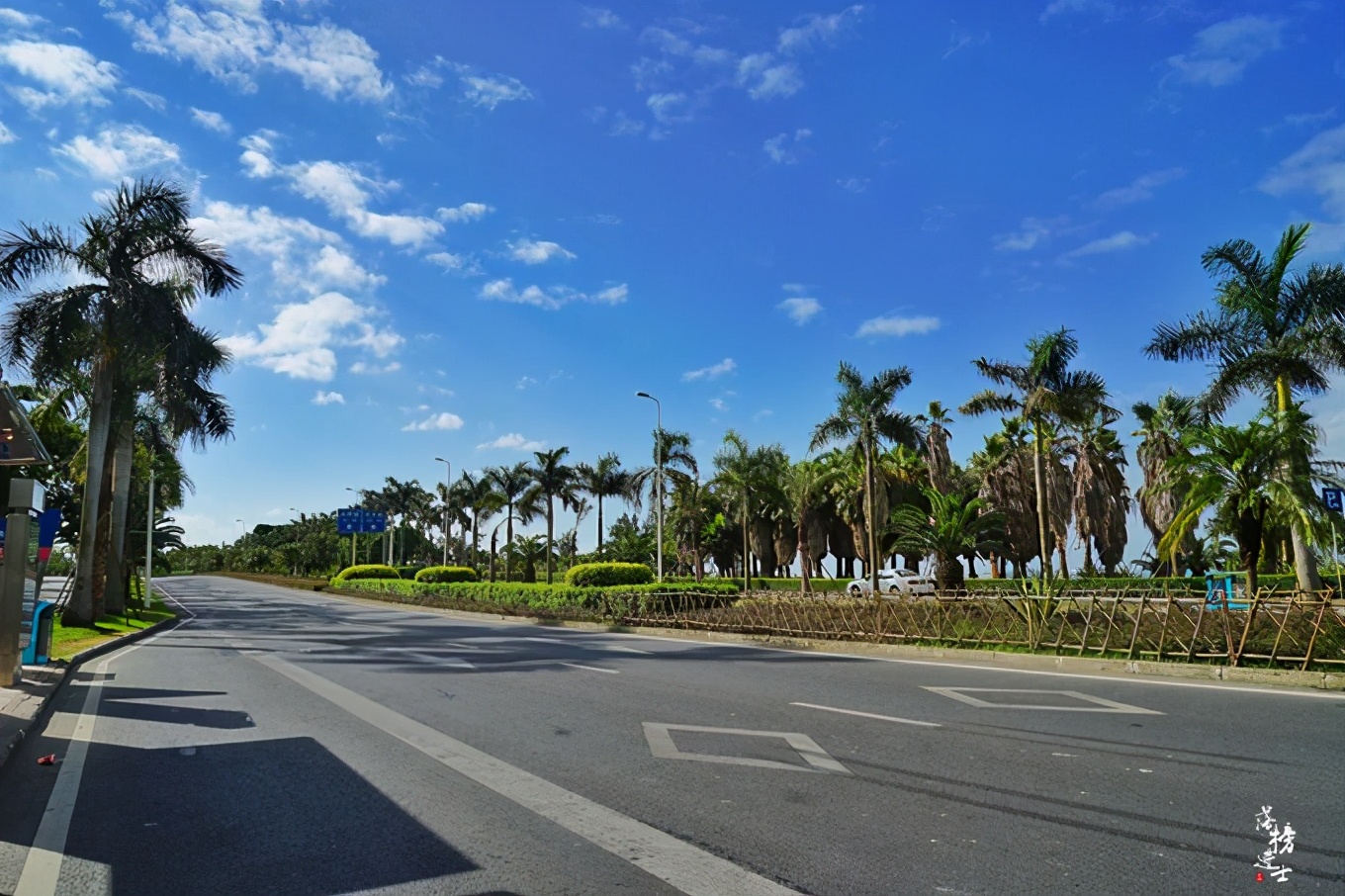 厦门旅游必去十个景点自由行攻略,厦门旅游攻略必去的5大景点