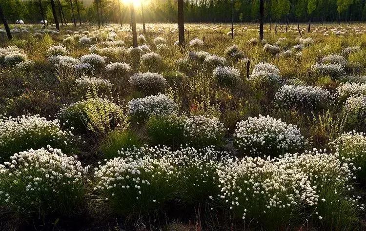 黑龙江旅游小众胜地,黑龙江值得旅游的10个地方