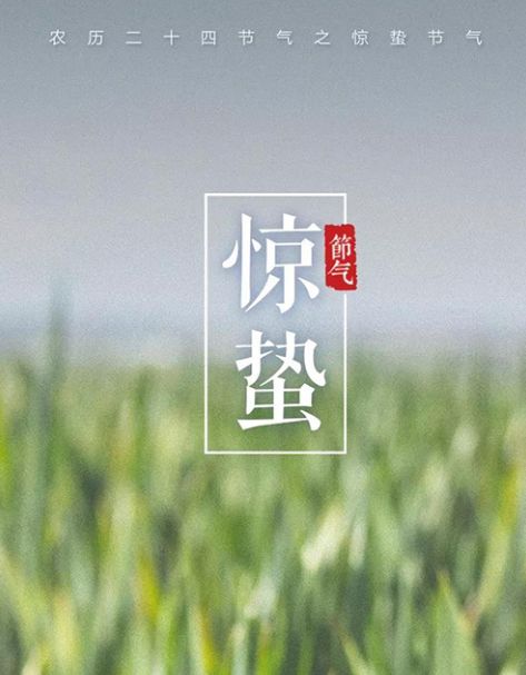 古诗最是一年春好处,表达一年收获感慨的诗句