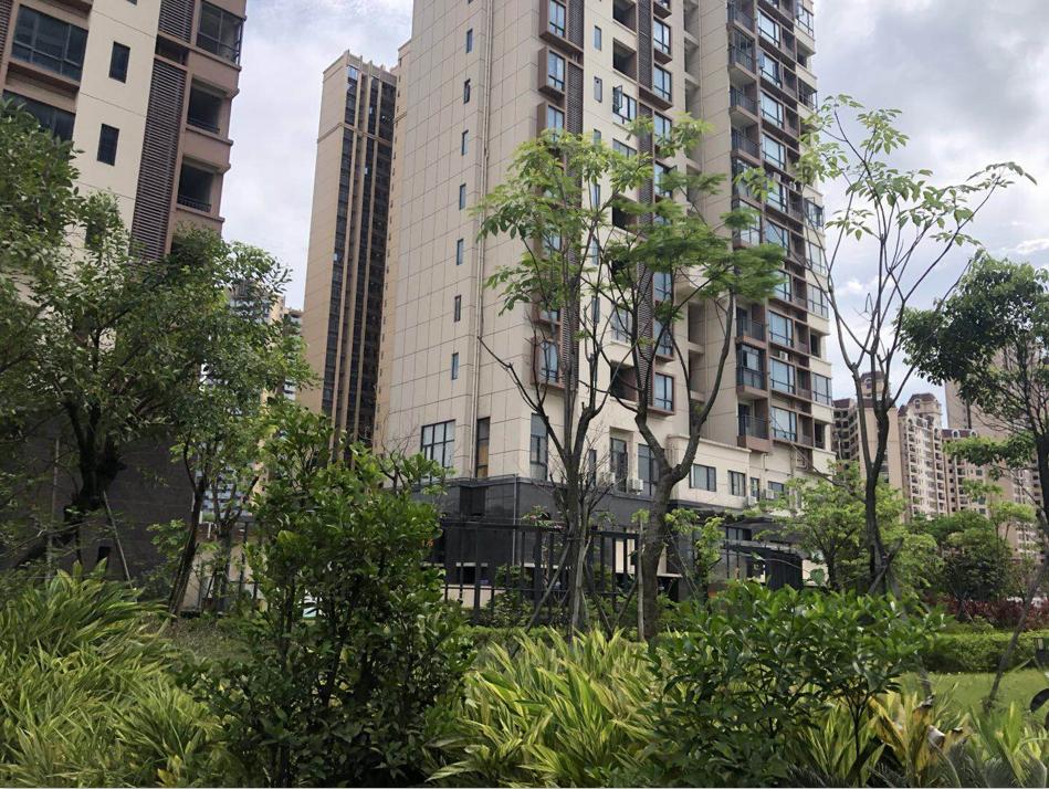 石湾有没有低首付房,首付30万佛山买什么房