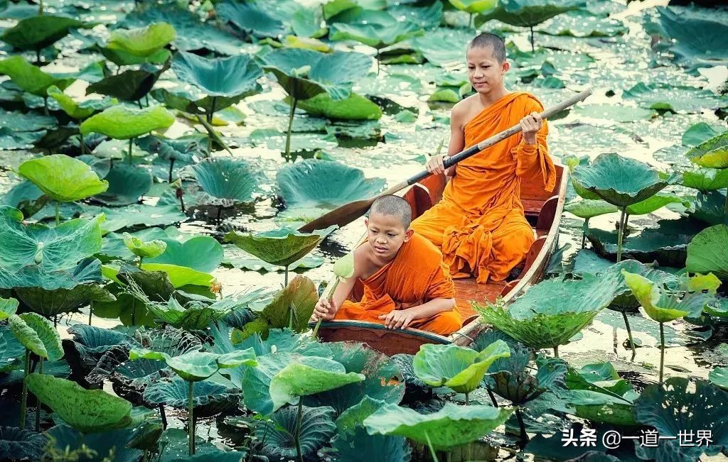 人生不过是渡人渡己的过程,人生就是渡人渡心渡己