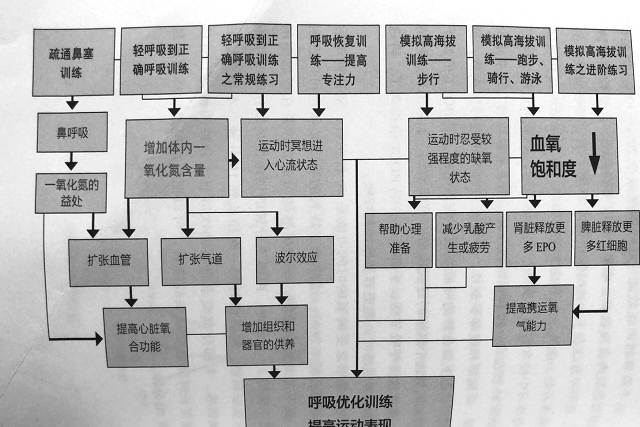 如何通过呼吸锻炼心肺,运动正确的呼吸模式